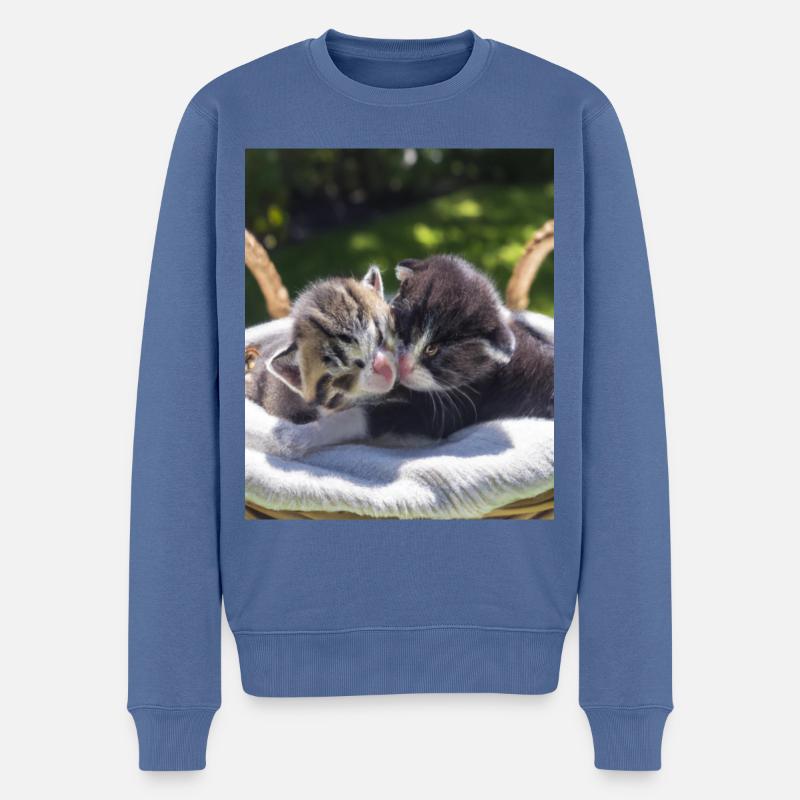 Katzen Babys - Männer Premium Bio Pullover - Taubenblau