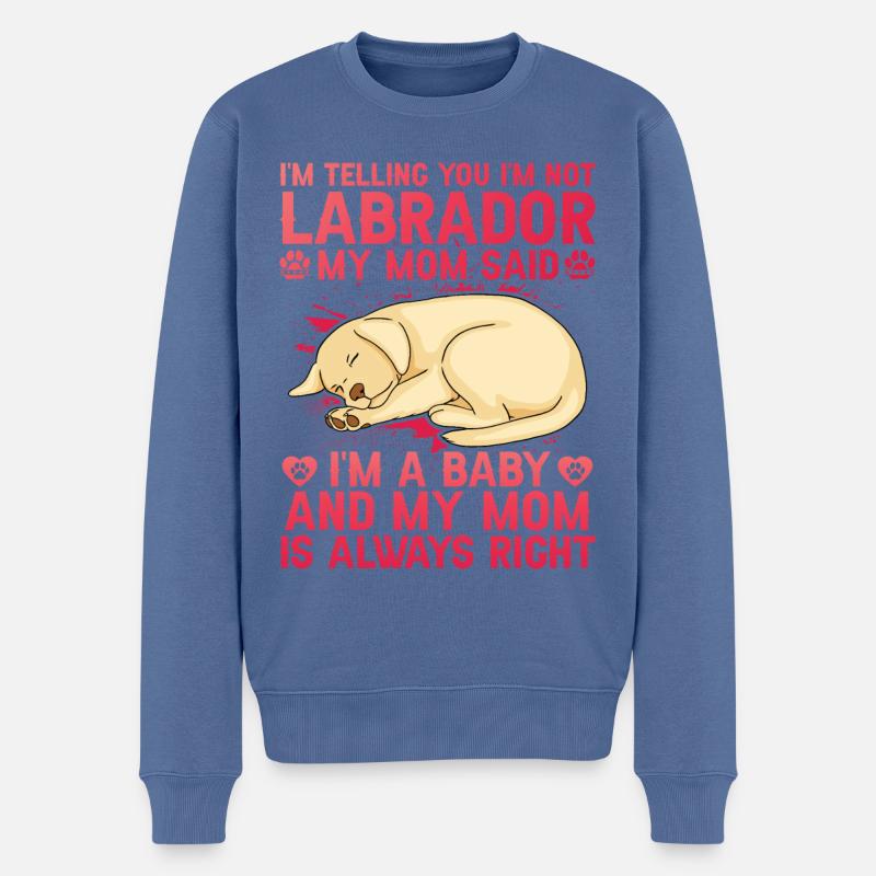 Labrador - Männer Premium Bio Pullover - Taubenblau