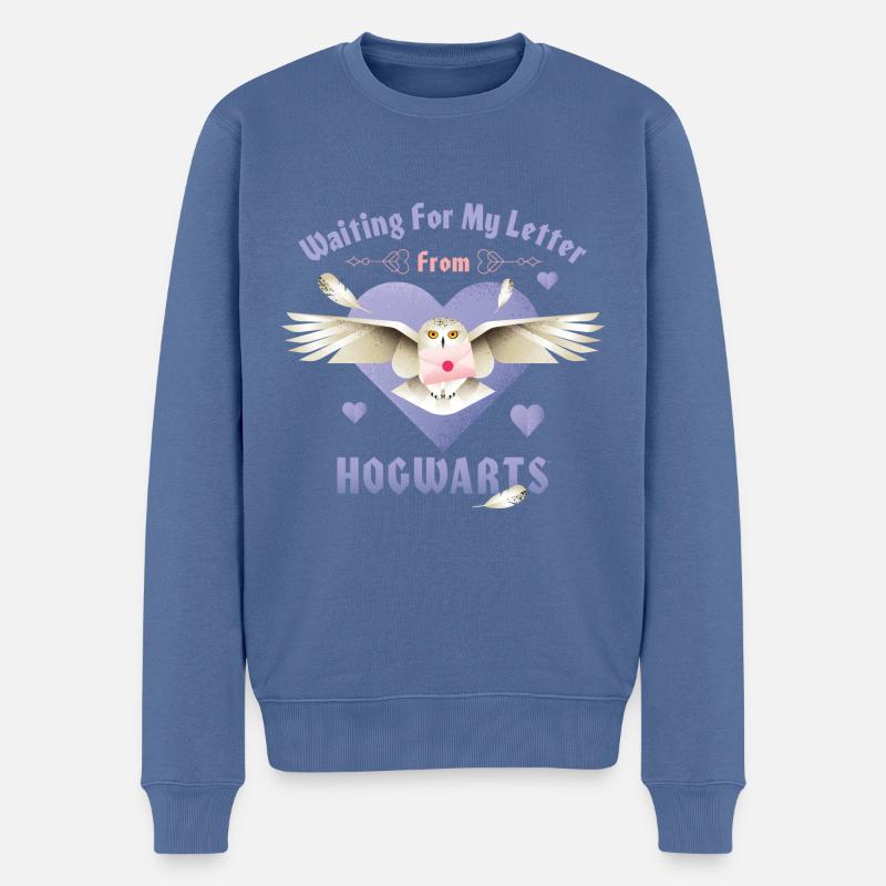 Harry Potter Waiting For My Letter From Hogwarts - Pull Premium bio Homme - bleu pigeon