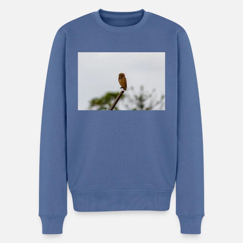 Die Eule - Männer Premium Bio Pullover - Taubenblau