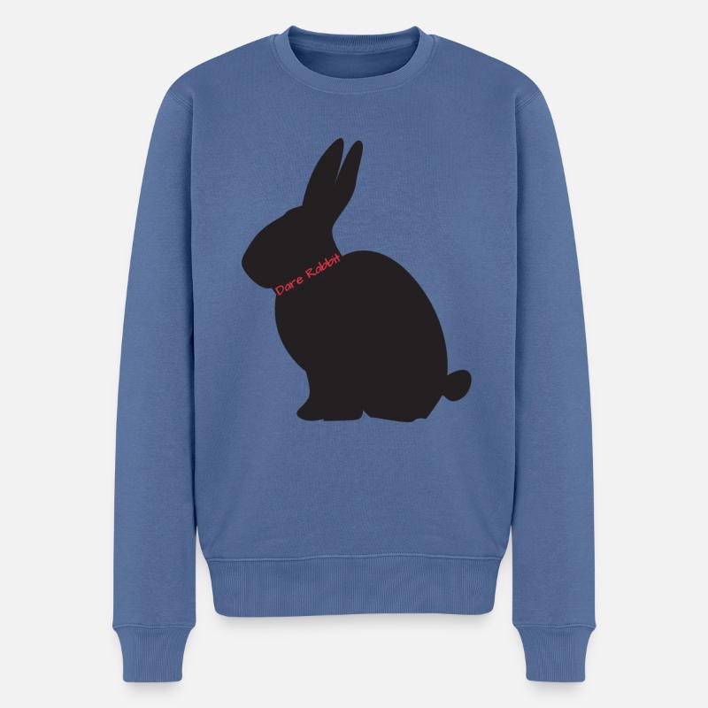 DareRabbit - Pull Premium bio Homme - bleu pigeon