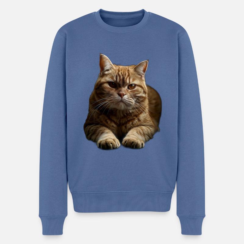 European Shorthair - Männer Premium Bio Pullover - Taubenblau