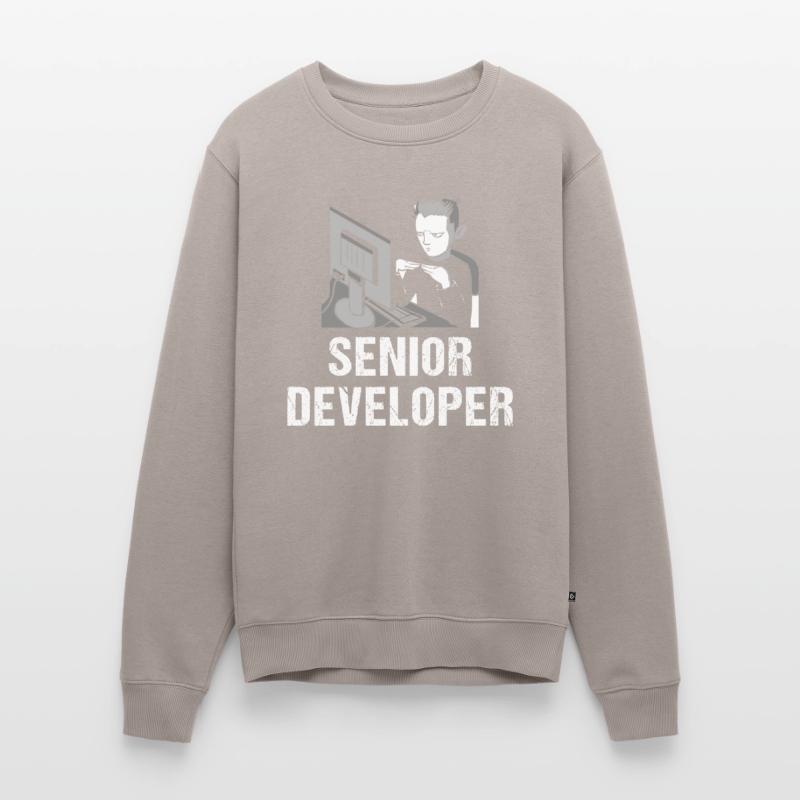 Programmierer Programmierung Informatik Computer Männer Premium Bio Pullover