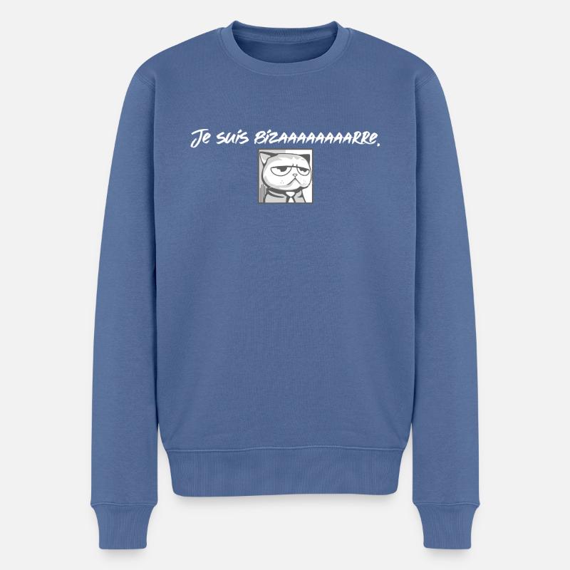 Je suis bizarre - Pull Premium bio Homme - bleu pigeon