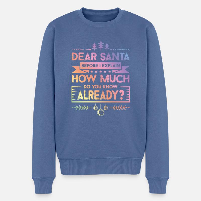 Weihnachten Spruch - Männer Premium Bio Pullover - Taubenblau