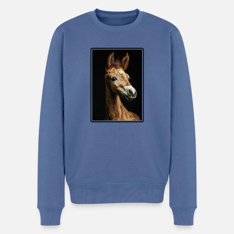 Chevaux Cheval - Pull Premium bio Homme - bleu pigeon