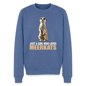 Meerkat Erdmännchen - Pull Premium bio Homme - bleu pigeon - Devant - Nico (187cm)