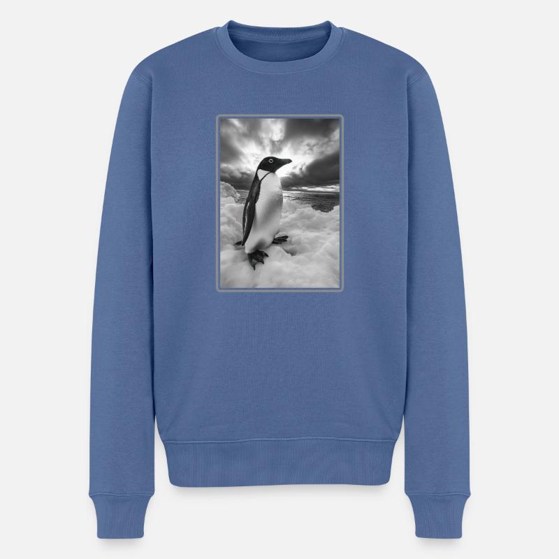 Pingouins Pingouin - Pull Premium bio Homme - bleu pigeon