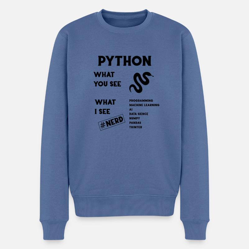 Python Programming - Männer Premium Bio Pullover - Taubenblau
