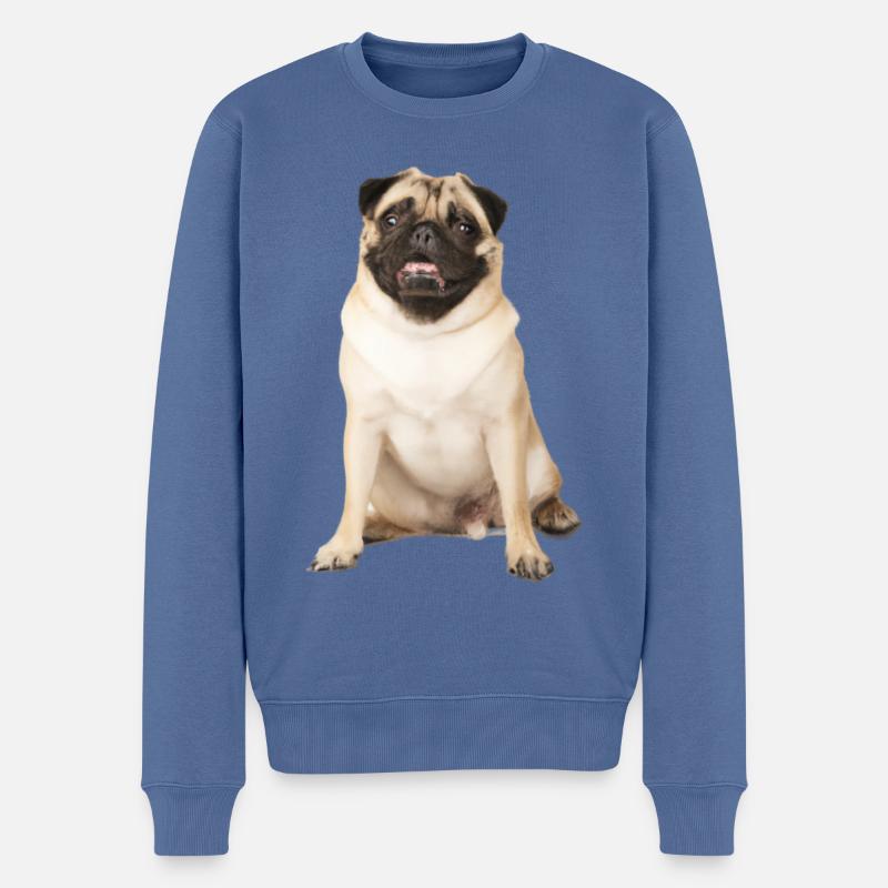 Carlin - Pull Premium bio Homme - bleu pigeon