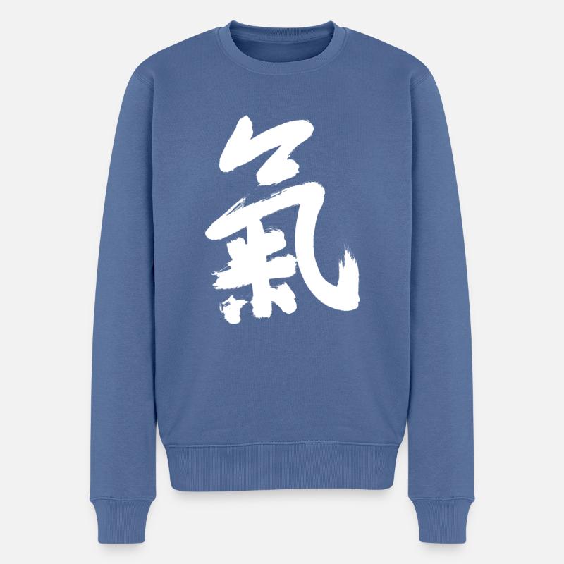 Qi - Chi - Männer Premium Bio Pullover - Taubenblau