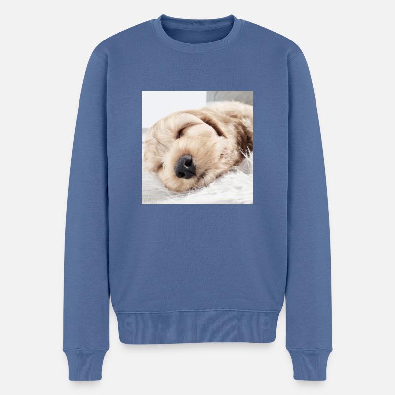 BabyNachoHell - Männer Premium Bio Pullover - Taubenblau