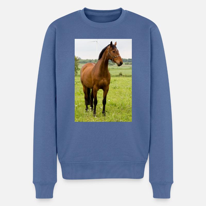 Cheval. Cheval. - Pull Premium bio Homme - bleu pigeon