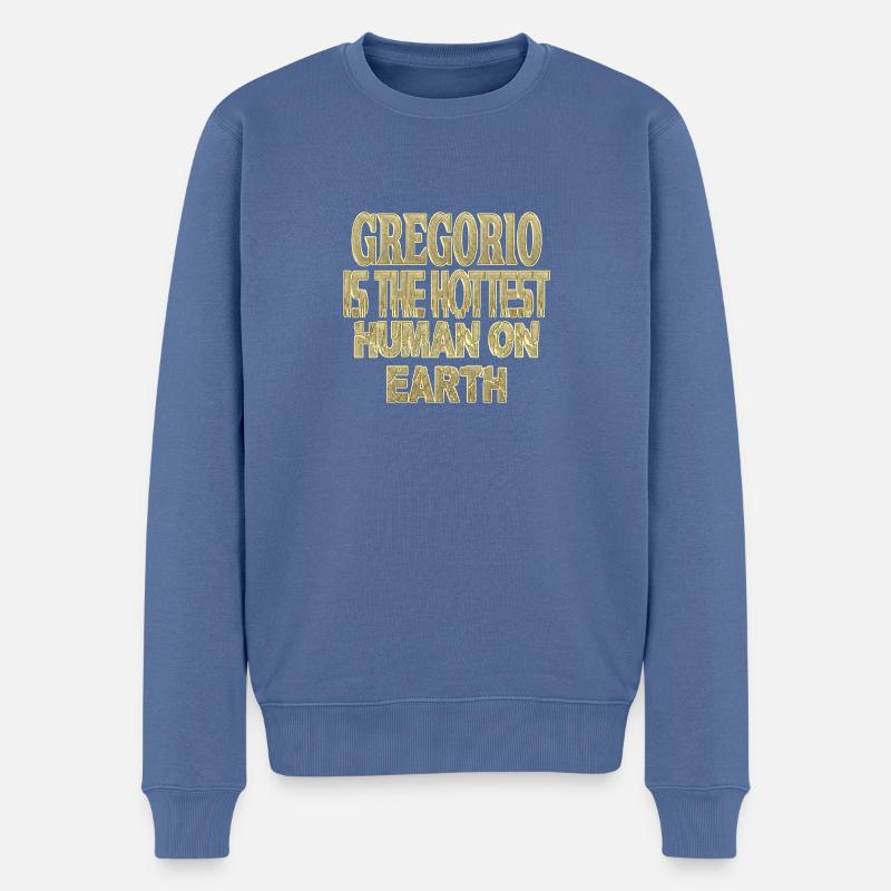 Gregorio - Pull Premium bio Homme - bleu pigeon