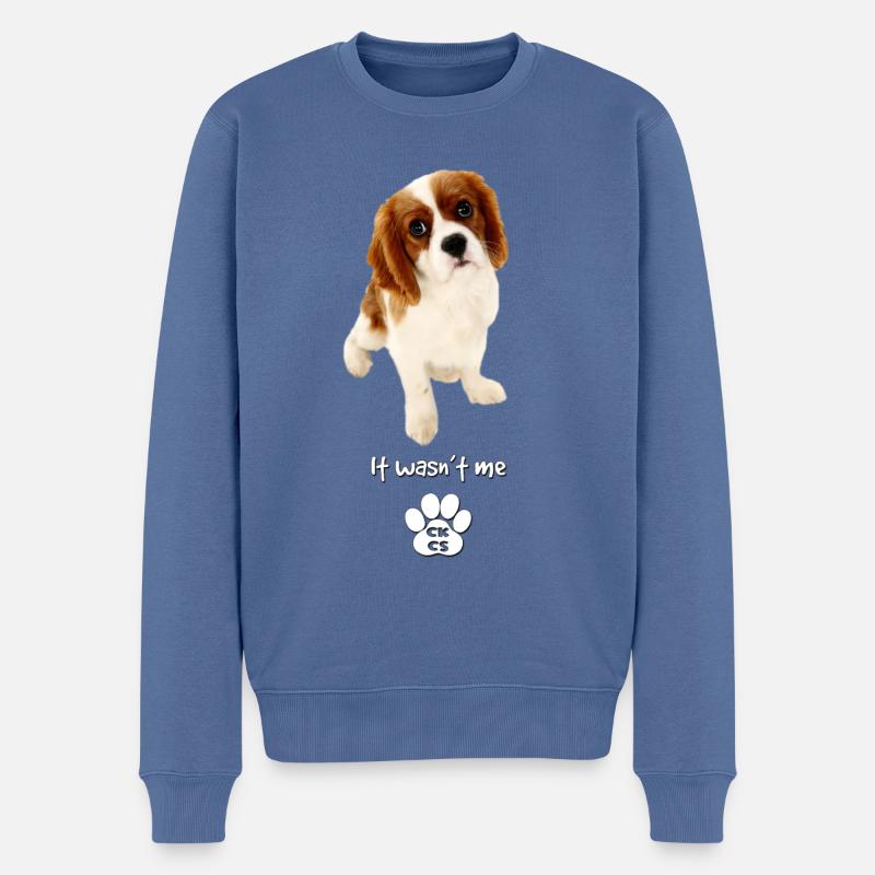 Ce n'était pas moi - Pull Premium bio Homme - bleu pigeon