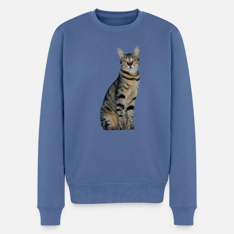 Chat Chaton Tigré Chat Tigre - Pull Premium bio Homme - bleu pigeon