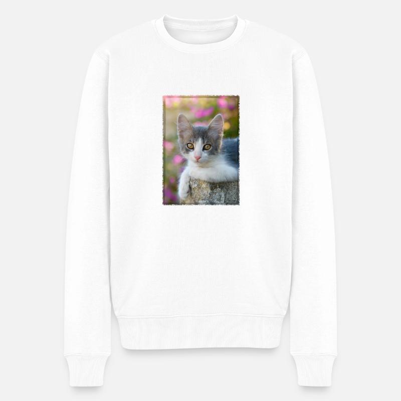 Niedliches grau weißes junges Kätzchen - Männer Premium Bio Pullover - Weiß