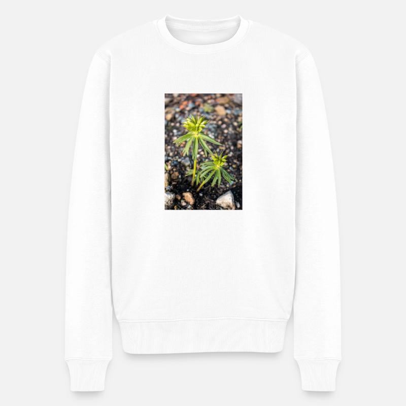 Aconit d’hiver Eranthis hyemalis - Pull Premium bio Homme - blanc