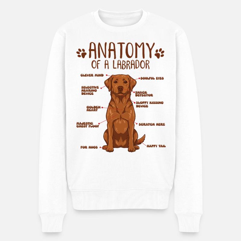 Anatomie eines Fox Red Labradors - Männer Premium Bio Pullover - Weiß