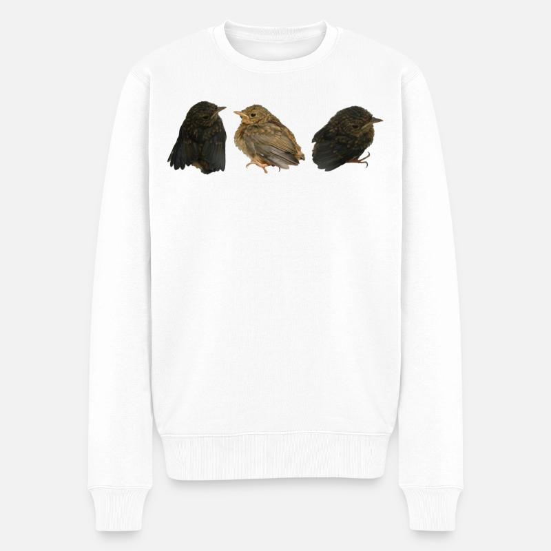 Rotkehlchen Ästlinge - Männer Premium Bio Pullover - Weiß