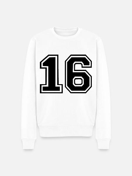 16 - Pull Premium bio Homme - blanc