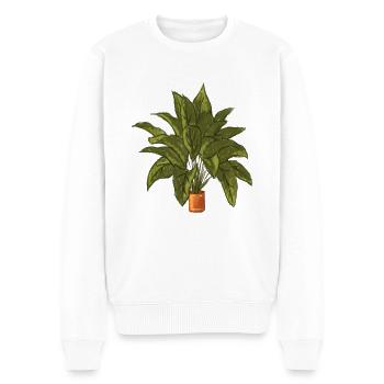 Plante - Pull Premium bio Homme - blanc - Devant - Thijin (182cm)