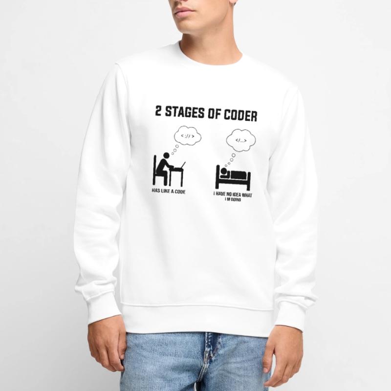 2 Stufen des Programmierers - Geschenkidee Humor Code Codierung Männer Premium Bio Pullover