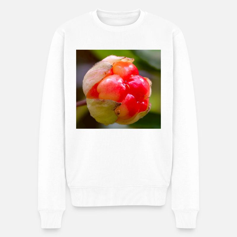 Plaquebière - Pull Premium bio Homme - blanc