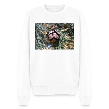 Cyprès d’Italie aussi cyprès de Méditerranée - Pull Premium bio Homme - blanc - Devant - Thijin (182cm)