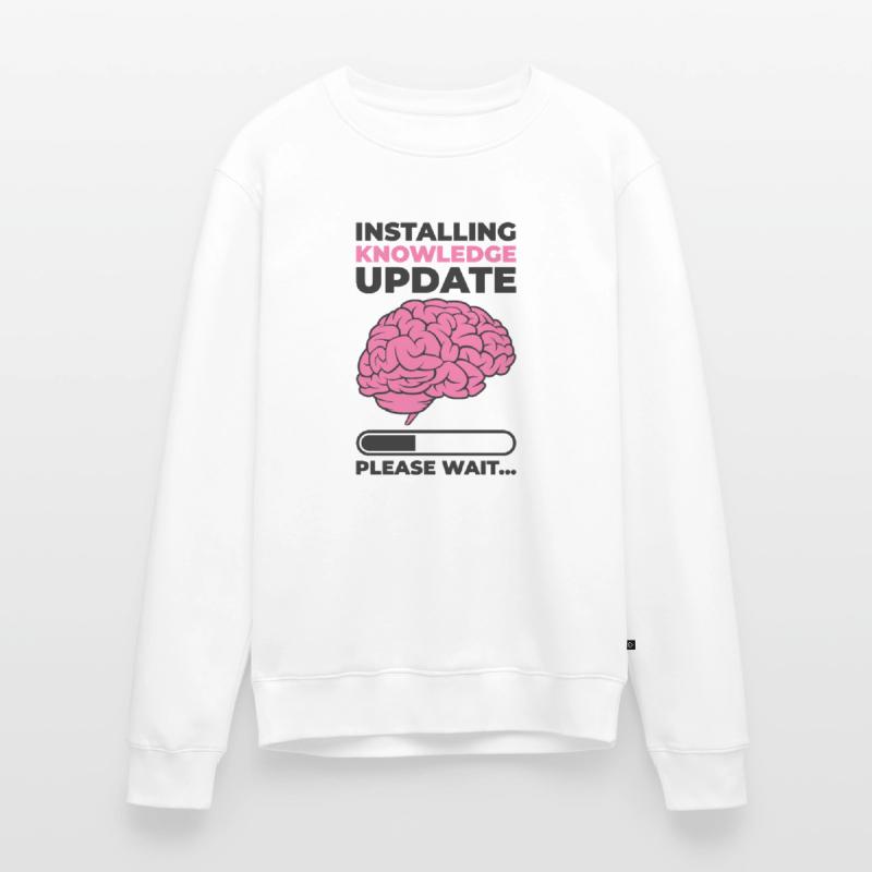 Installing Knowledge Update Student Brain Loading Men's Premium Organic Jumper