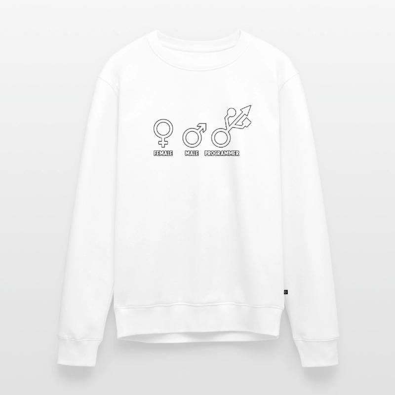 Entwickler Admin Coder Programmierer Informatiker Männer Premium Bio Pullover