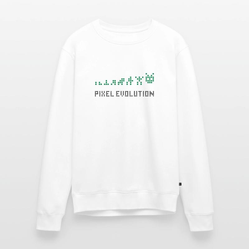 Pixel Evolution Pull Premium bio Homme