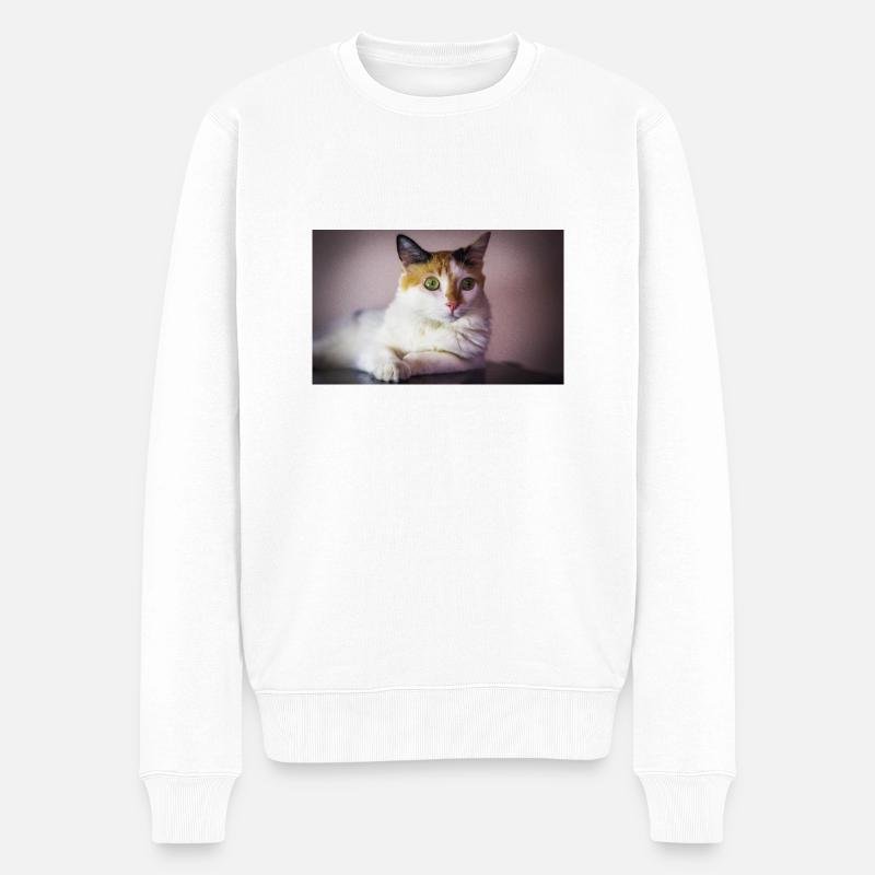 chat - Pull Premium bio Homme - blanc