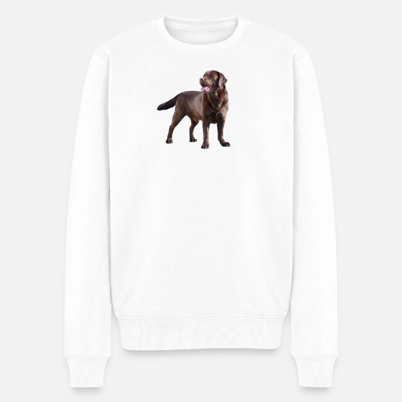 Labrador - Pull Premium bio Homme - blanc