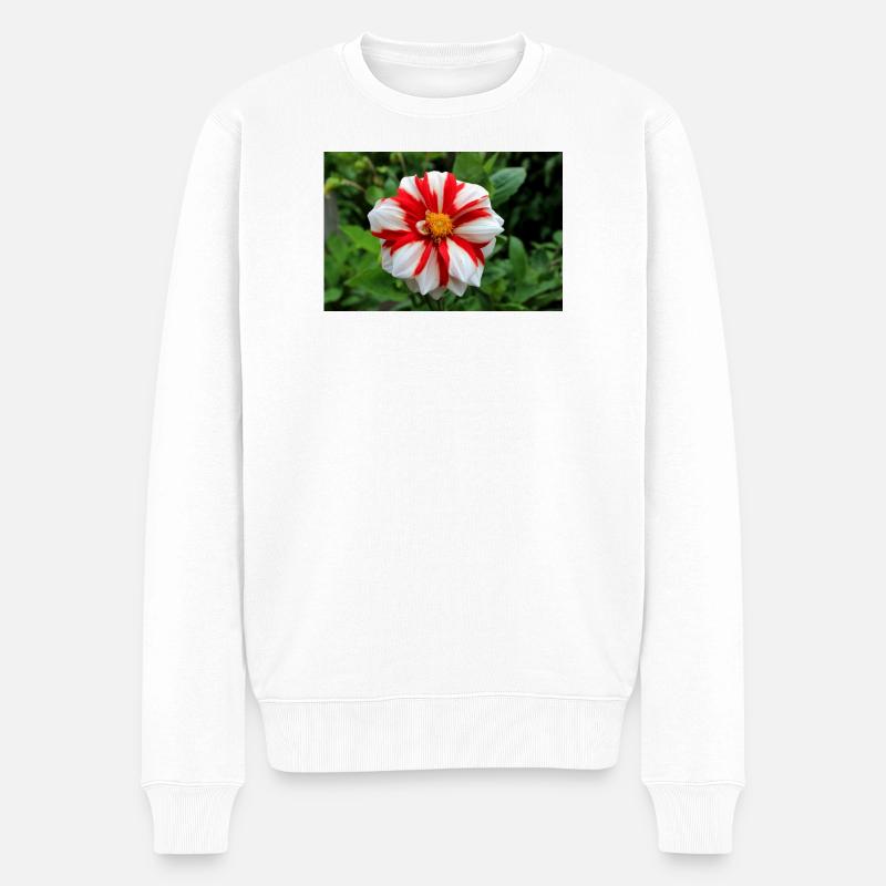 Dahlia blanc rouge fleur, fleur - Pull Premium bio Homme - blanc