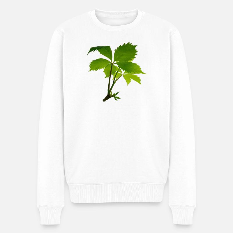 Jeune feuillage – branche verte de feuilles - Pull Premium bio Homme - blanc