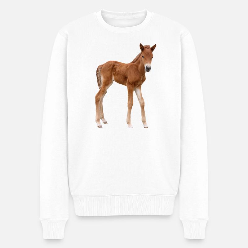 Pferde T-shirt Geschenk Reiter  - Männer Premium Bio Pullover - Weiß