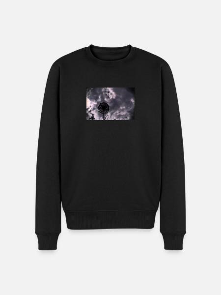 Eine tolle Blume - Männer Premium Bio Pullover - Schwarz