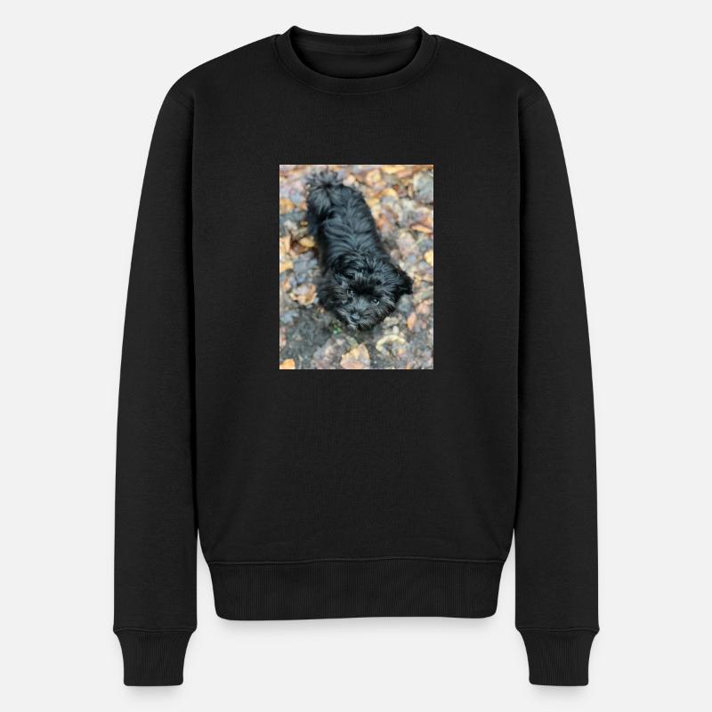 Havaneser forever - Männer Premium Bio Pullover - Schwarz