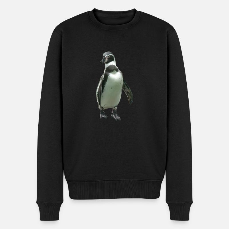 Pingouin - Pull Premium bio Homme - noir