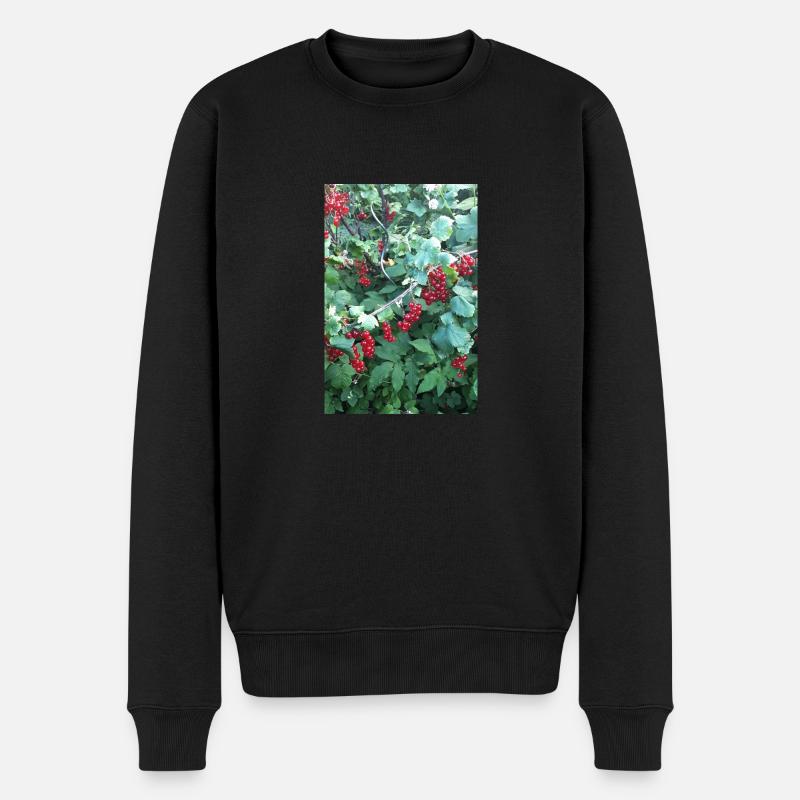 Rote Johannisbeeren an Strauch - Männer Premium Bio Pullover - Schwarz