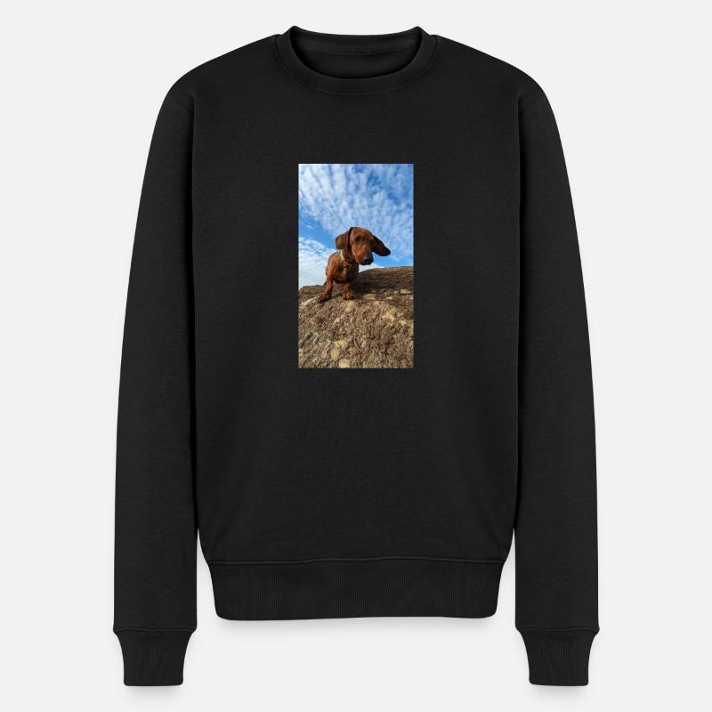 PXL-20221217 140939962 - Männer Premium Bio Pullover - Schwarz