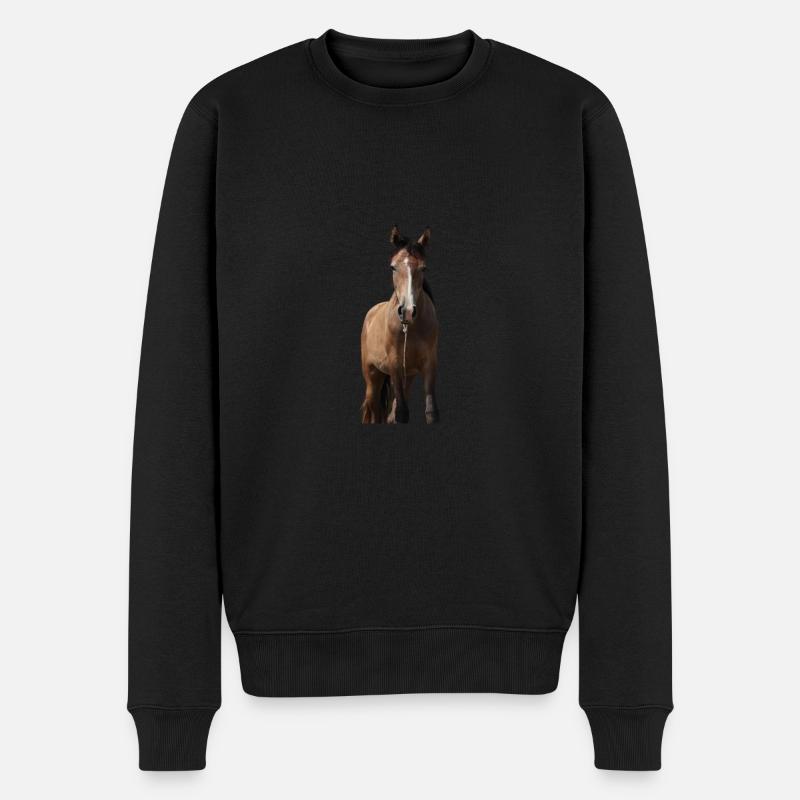 Pferd Mädchen Geschenk - Männer Premium Bio Pullover - Schwarz