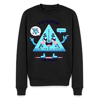L’angle de la règle triangulaire sur le plaisir - Pull Premium bio Homme - noir - Devant - Nico (187cm)