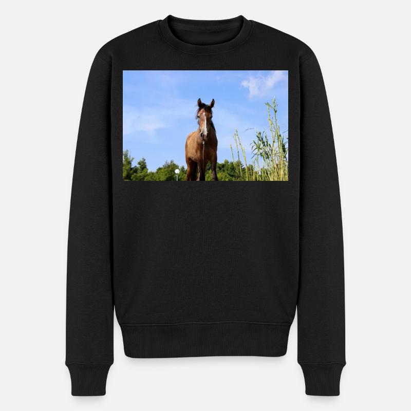 Affiche Cheval Cheval - Pull Premium bio Homme - noir