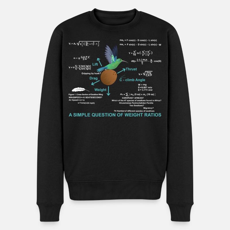 Mathematik Einfache Frage der Gewichtsverhältnisse - Männer Premium Bio Pullover - Schwarz