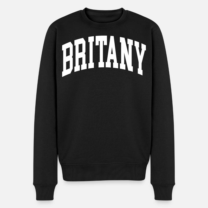 Britany - Männer Premium Bio Pullover - Schwarz