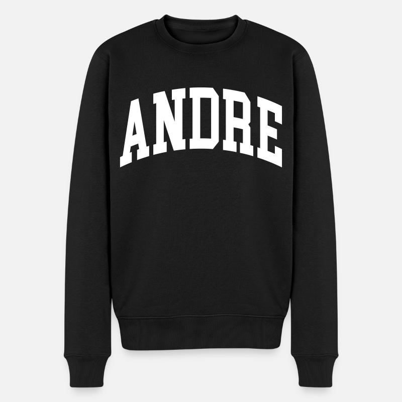 Andre - Männer Premium Bio Pullover - Schwarz