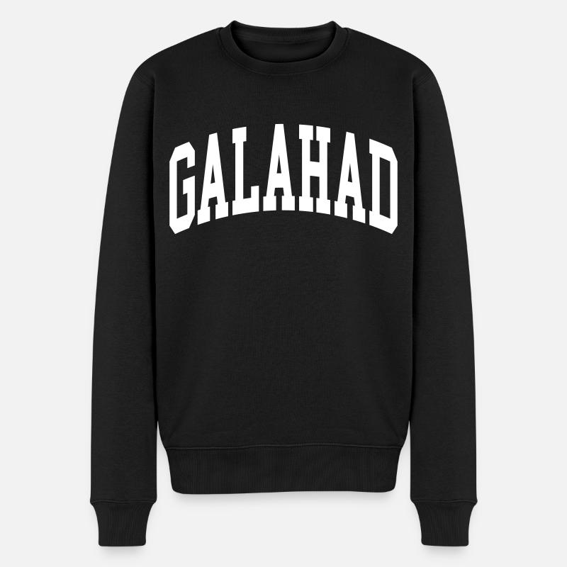 Galahad - Männer Premium Bio Pullover - Schwarz