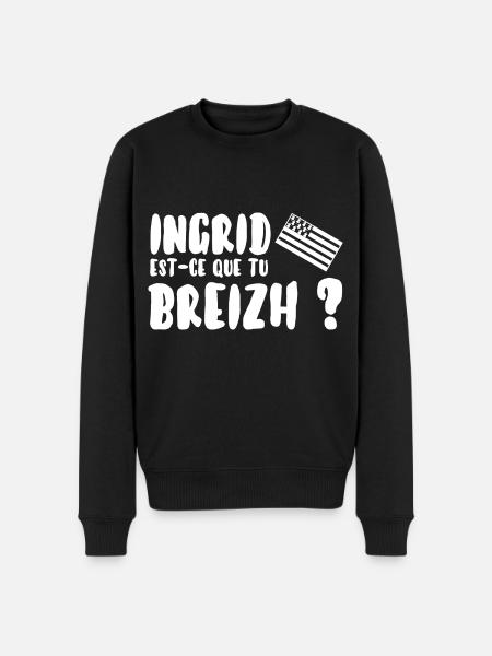 Ingrid est-ce que tu breizh? - Pull Premium bio Homme - noir